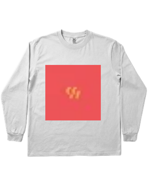 Hoodies & Sweatshirts (2D) T-shirt Unisex Premium Cotton Long Sleeve T-Shirt (White) - KUD 202. (x 1)
