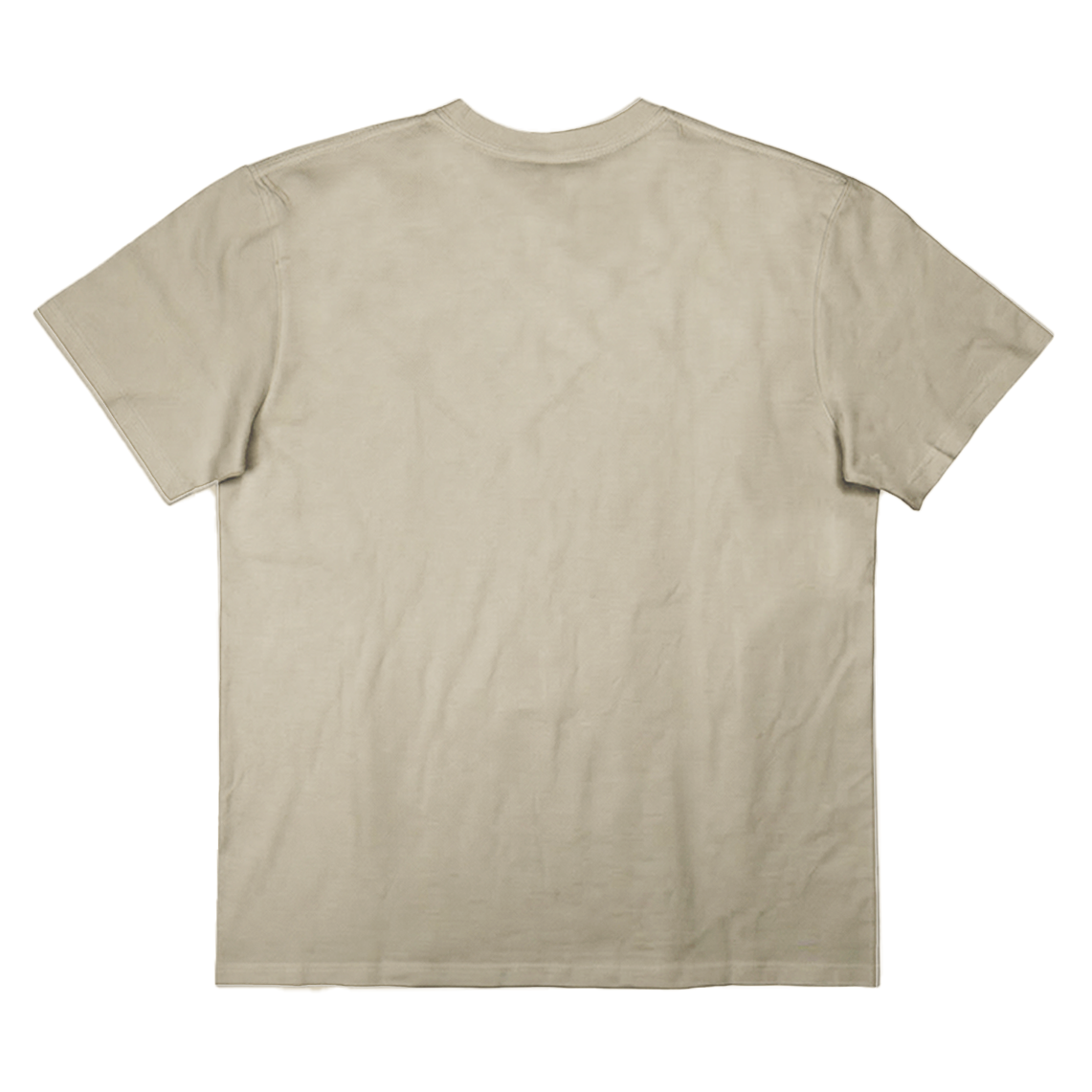 Unisex Premium Cotton Regular Fit T-Shirt